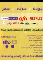 اشتراك سبايدر spider tv pro 1yer